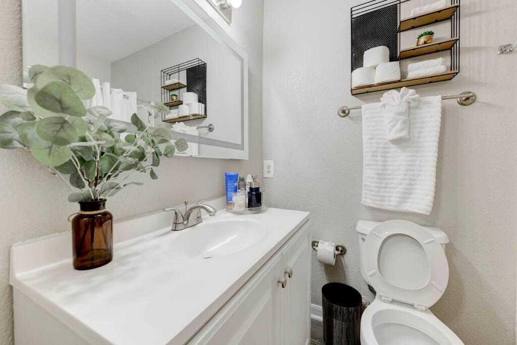 오스틴 6 Min To Dt~Pool~Free Parking~2King Bed & 2Bath 아파트 외부 사진